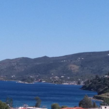 Forest & Sea Apartment Poros Town Luaran gambar