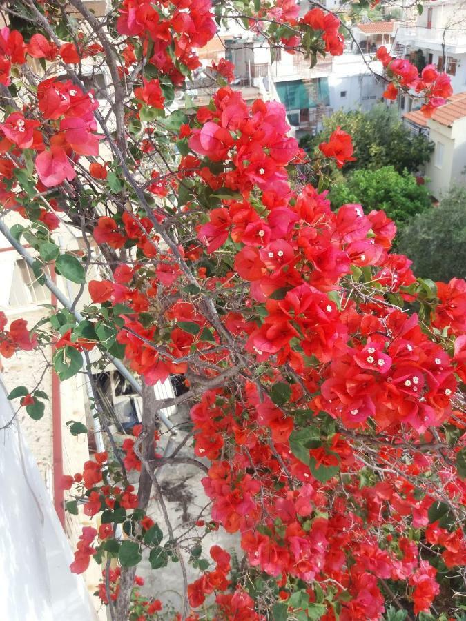 Forest & Sea Apartment Poros Town Luaran gambar